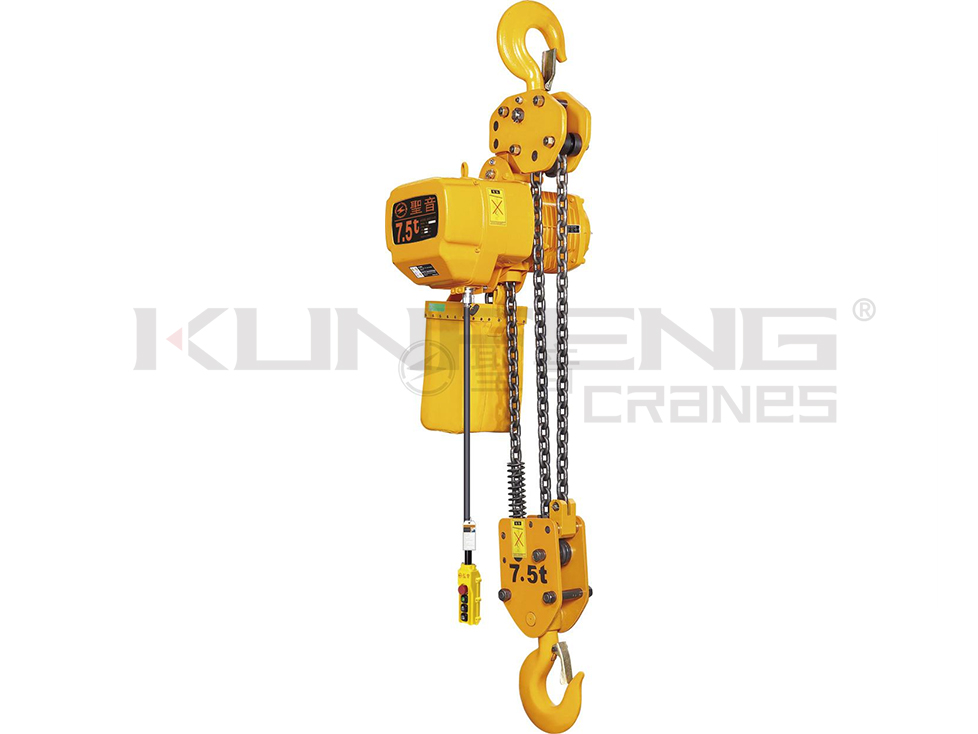 Hook type electric chain hoist